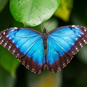 Fundraising Page: Maria Rivera